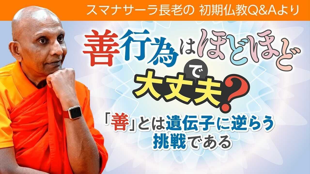 善行為はほどほどで大丈夫？　「善」とは遺伝子に逆らう挑戦である｜ブッダの智慧で答えます（一問一答）