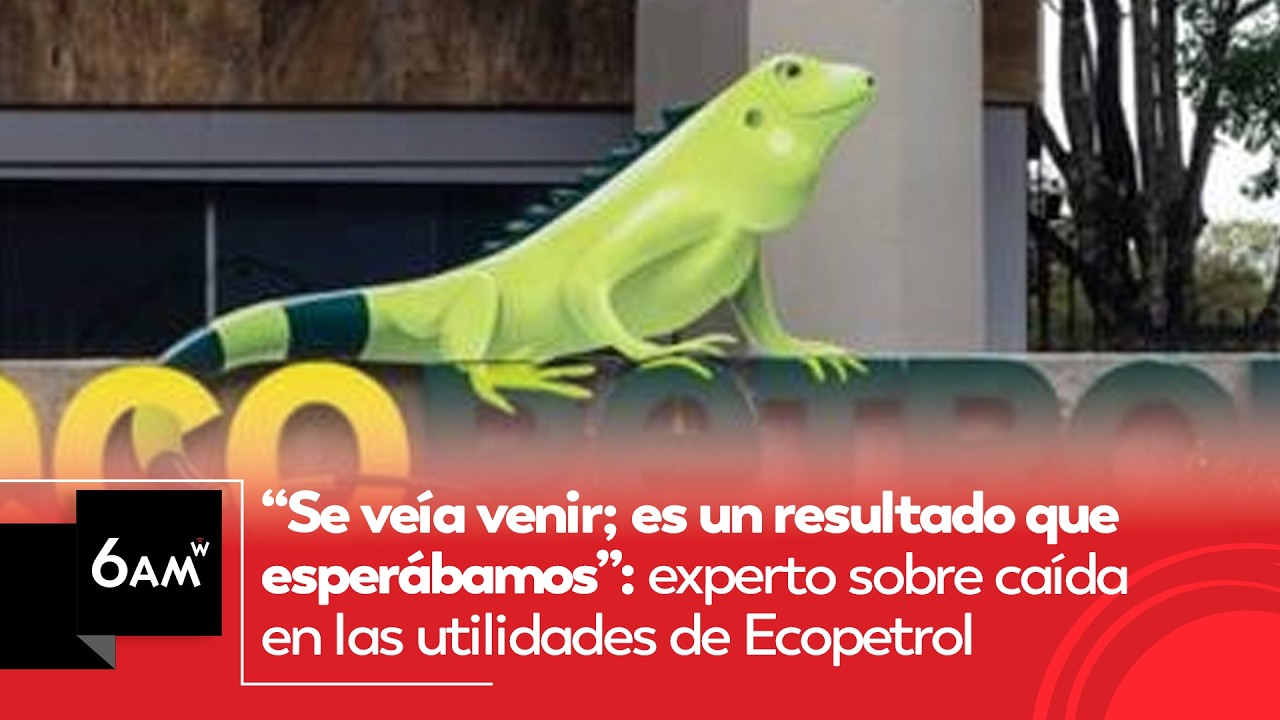 Se veía venir; un resultado que esperábamos: experto sobre caída de utilidades de Ecopetrol | 6AM W