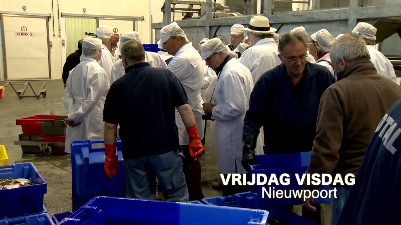 Visserij aan de Kust