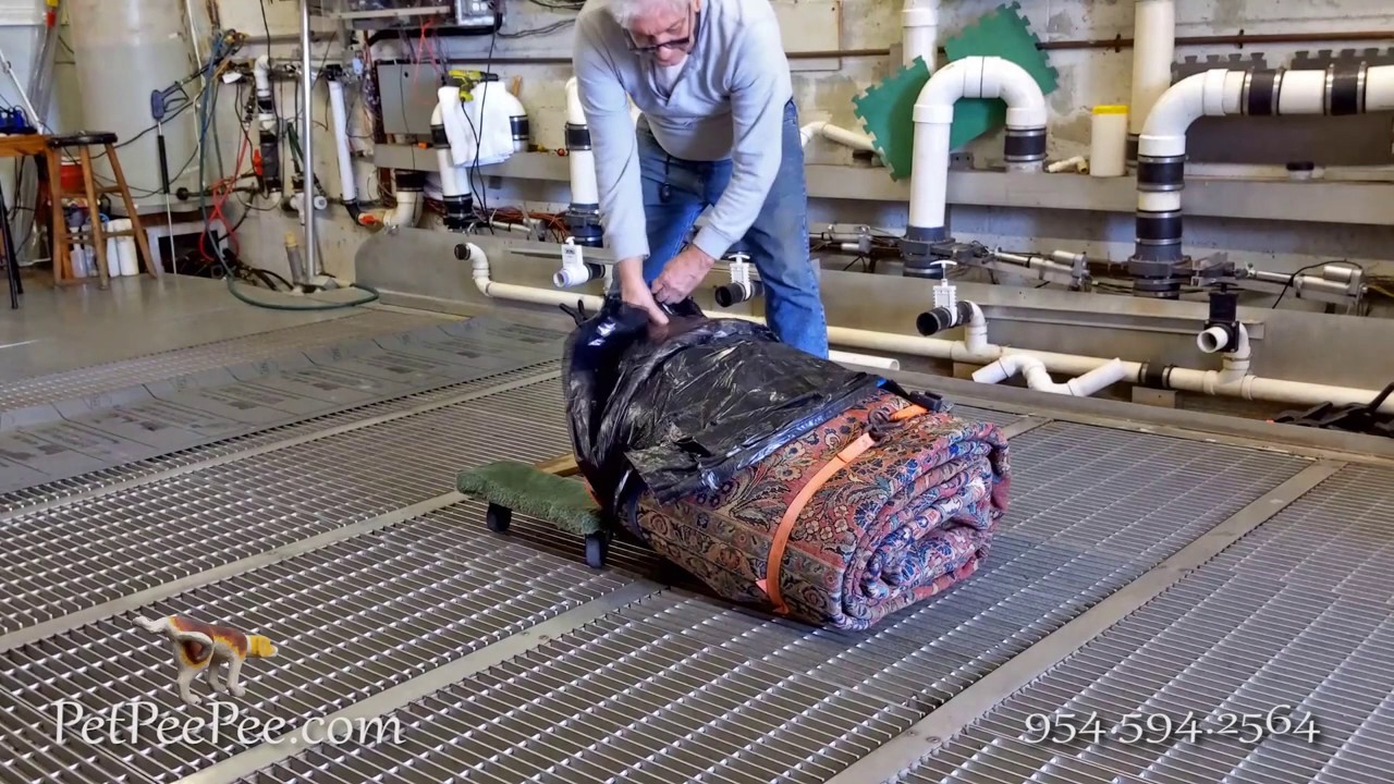 #2 what I should know before I clean my Oriental rug