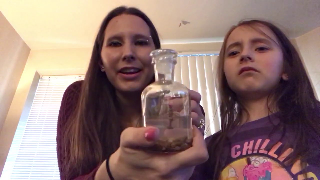 Bloomify Terrarium Review