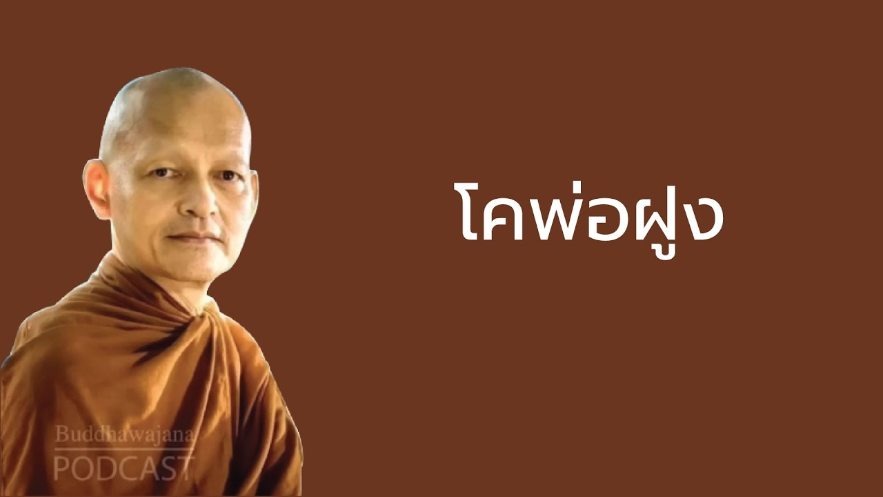 โคพ่อฝูง