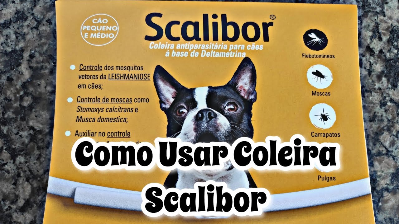 Como usar coleira SCALIBOR?