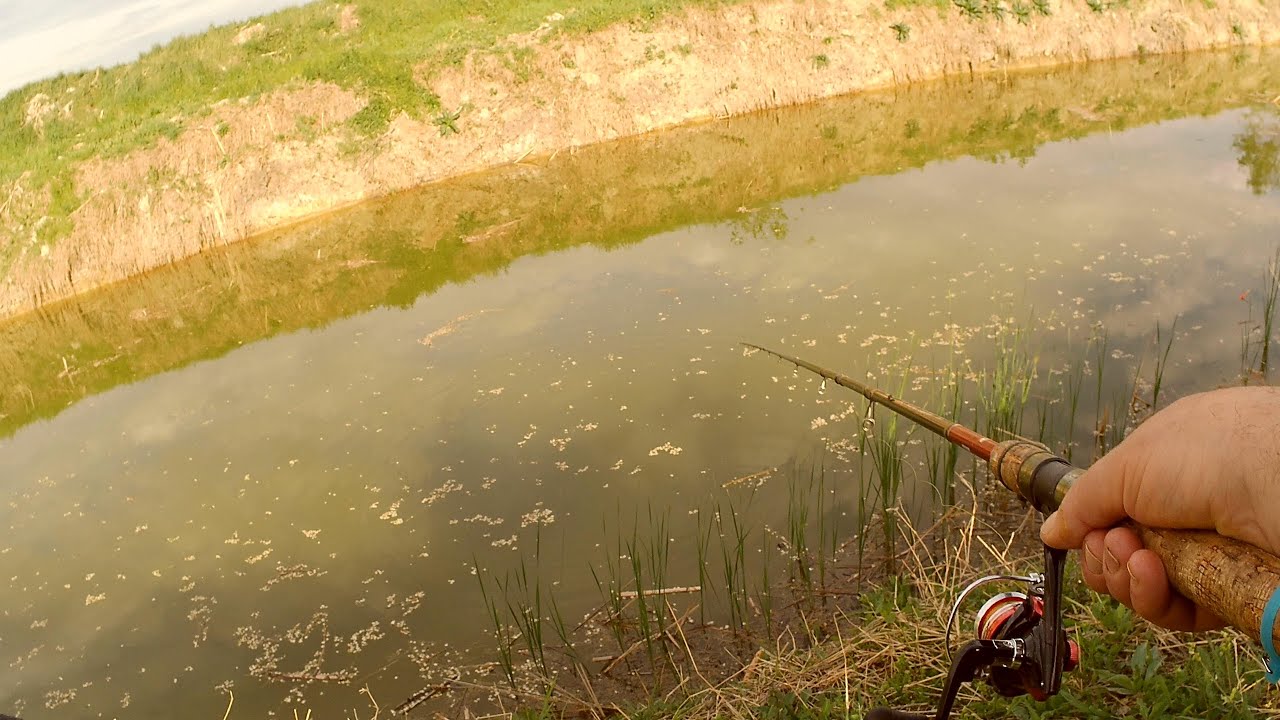 Aprilsko pecanje babuške #fishing #cruciancarp