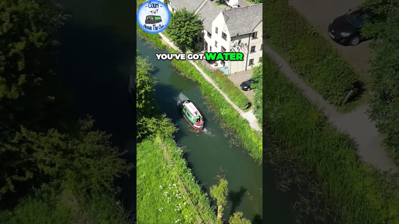 Canal Restoration Creates Thriving Wildlife Haven with Water Voles and Bird Life 
