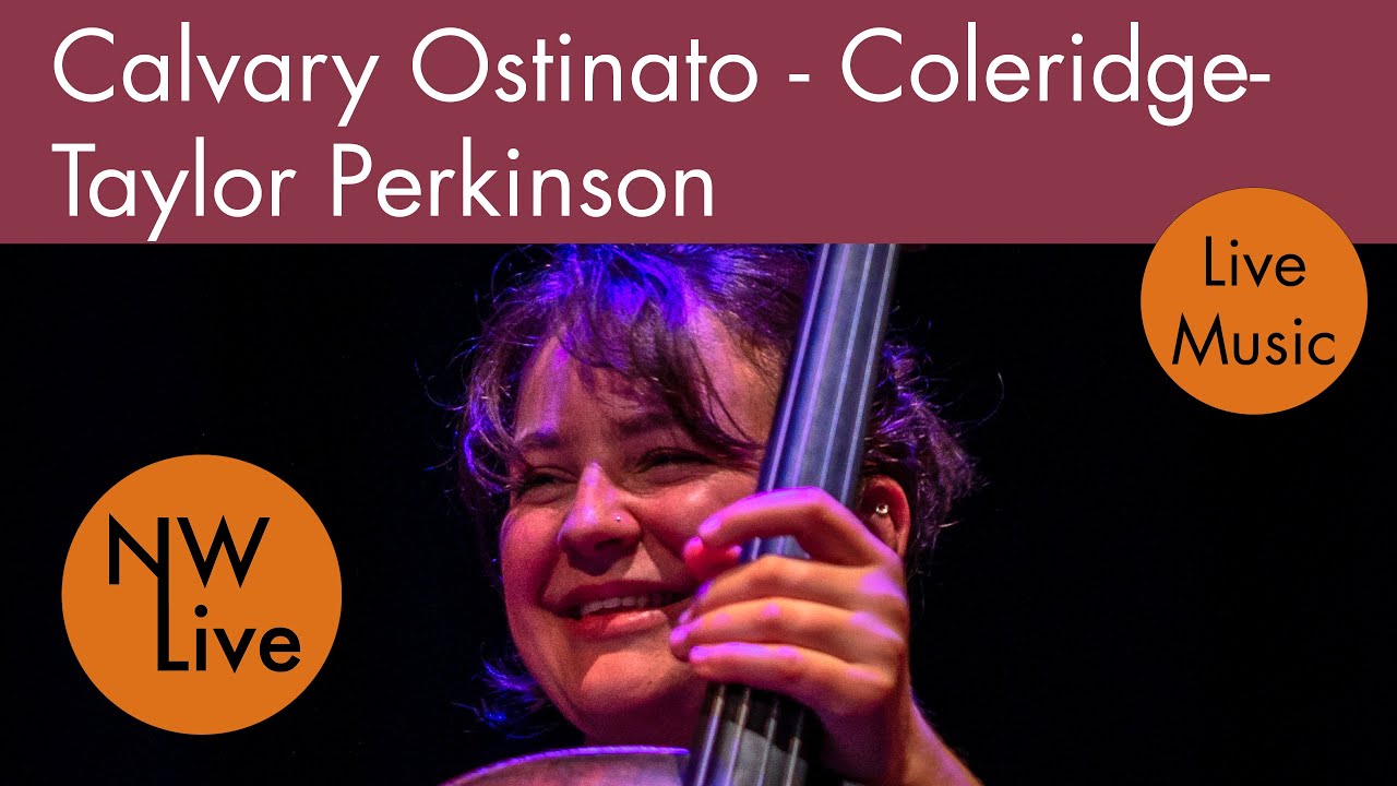 Calvary Ostinato - Coleridge-Taylor Perkinson | Laura van der Heijden - cello | HD Live Music