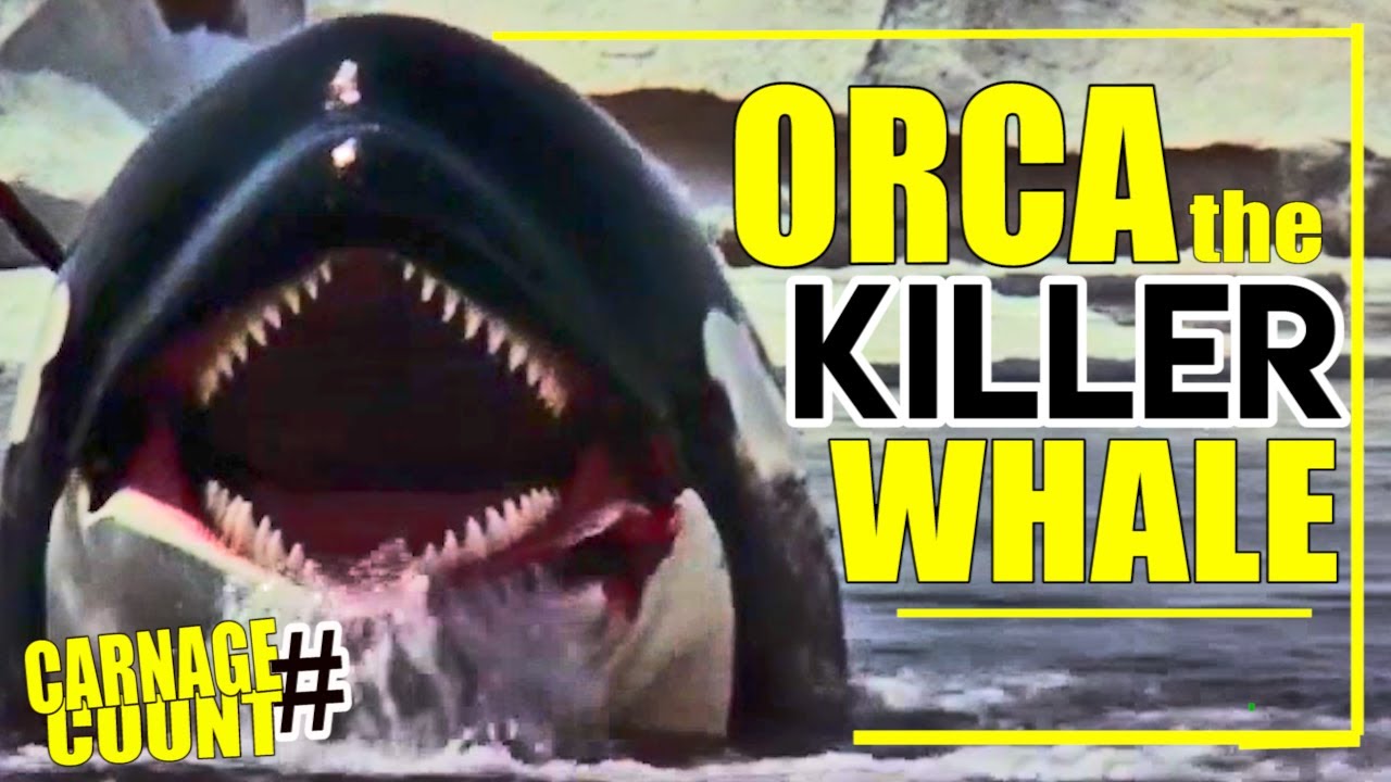 Orca: The Killer Whale (1977) Carnage Count