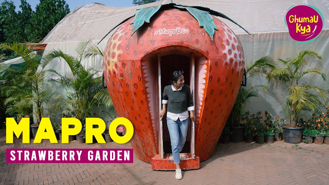 Mahabaleshwar Mapro Garden Tour | Garden Full of FREE STRAWBERRIES | Strawberry Theme Garden