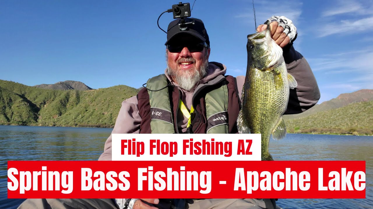 Spring Bass Fishing - Apache Lake, AZ