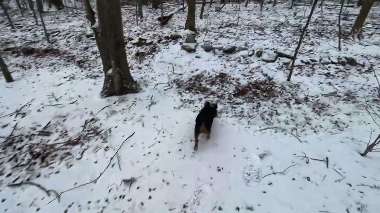 С Рождеством от Сэма!