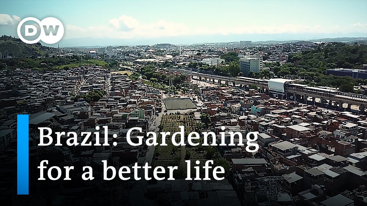A community garden that has brought hope to the favela | Global Ideas