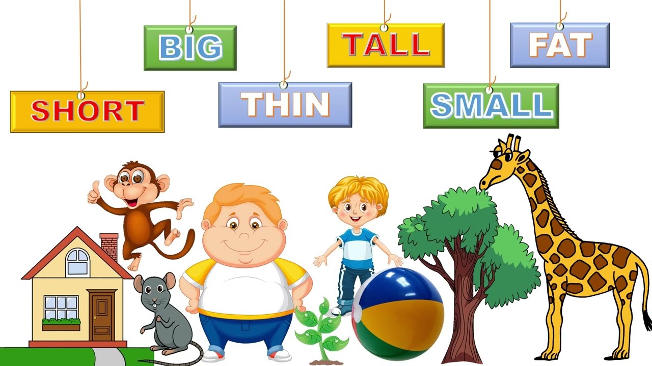 Let's learn BIG, SMALL, FAT, THIN, TALL and SHORT | LKG | UKG | Nursery kids | Smart kidz hub