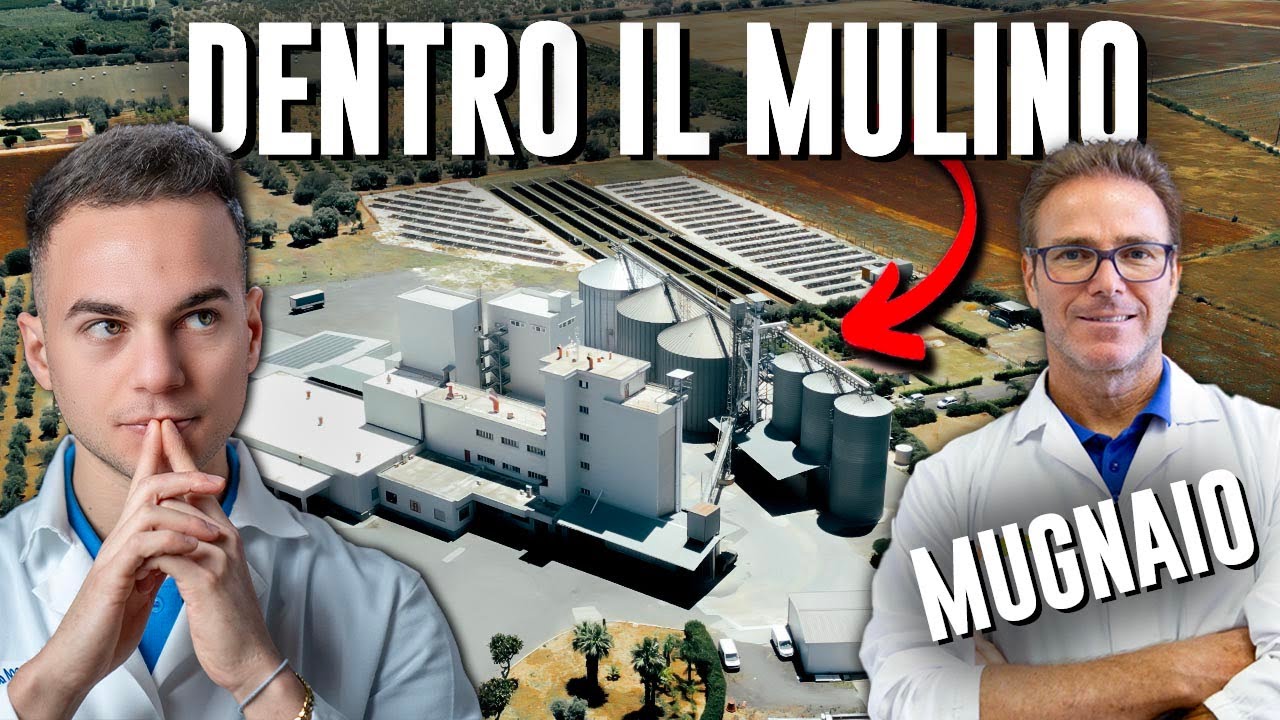 Com'è fatta la FARINA che consumiamo? | Verità e Falsi Miti