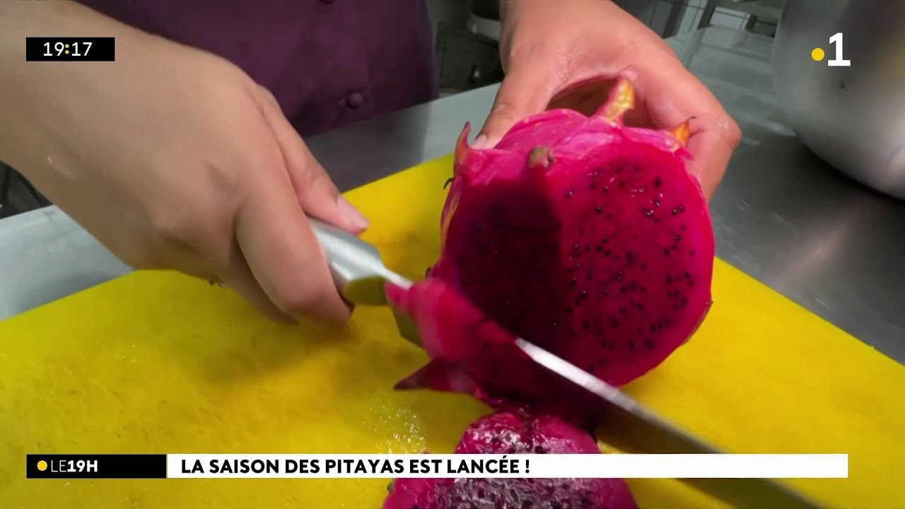 C'est la saison des pitayas ! Rouge, blanc, jaune,cette année les fruits n'ont jamais été aussi gros