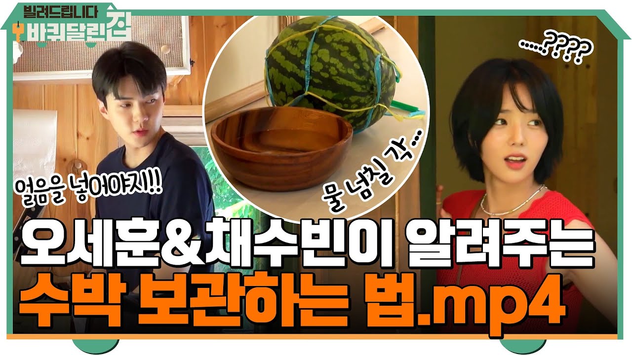 막내 채수빈&오세훈이 알려주는 수박을 시원하게 보관하는 법.mp4 #빌려드립니다바퀴달린집 EP.2 | tvN 210920 방송