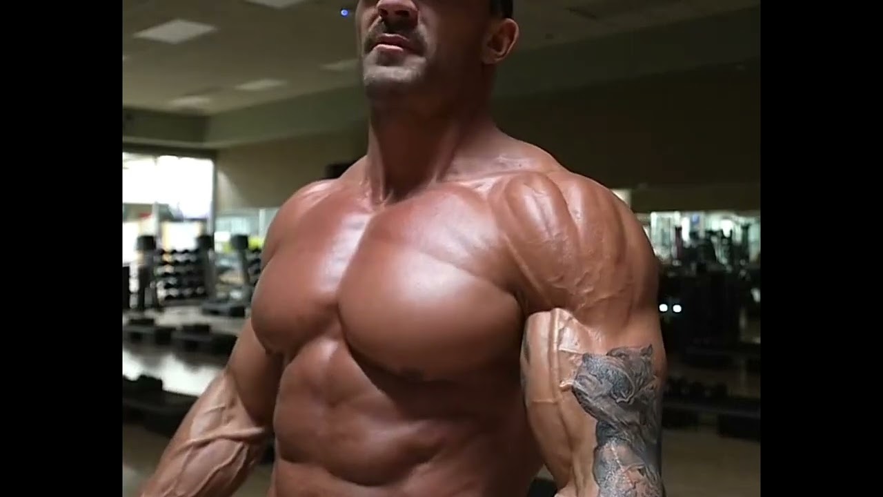 GYM WORKOUT VIDEOS 2026🔥💯