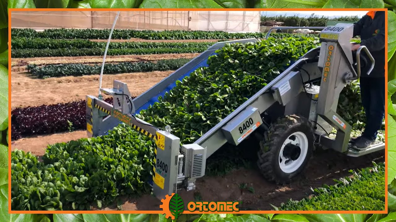 Ortomec 8400 Magic Dimension | The Leafy Vegetables Harvester