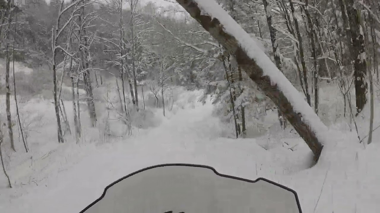 2021 Arctic Cat ZR8000RR