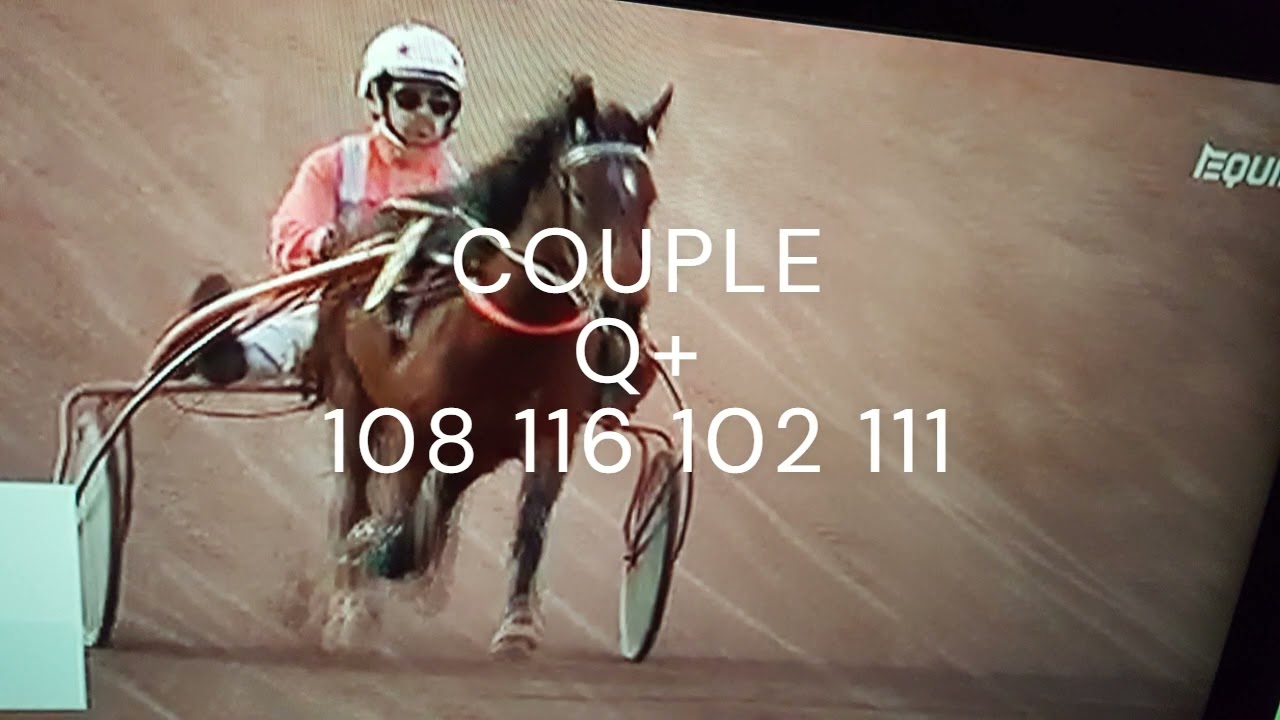 PRONOSTIC  Q+    PMU  MICOTURF DU 4.3.2026