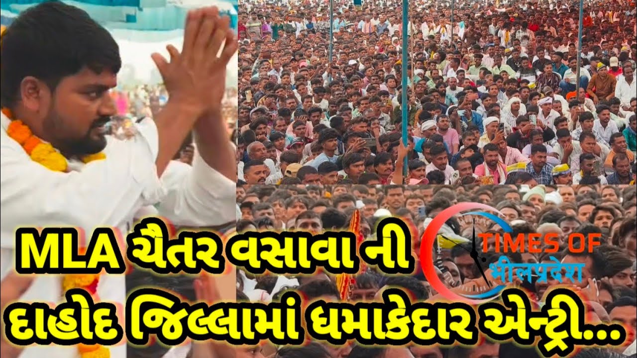 MLA ચૈતર વસાવા ની દાહોદ જિલ્લામાં ધમાકેદાર એન્ટ્રી...જુઓ આ વીડિયોમાં #news #dahodlive #chaitarvasava