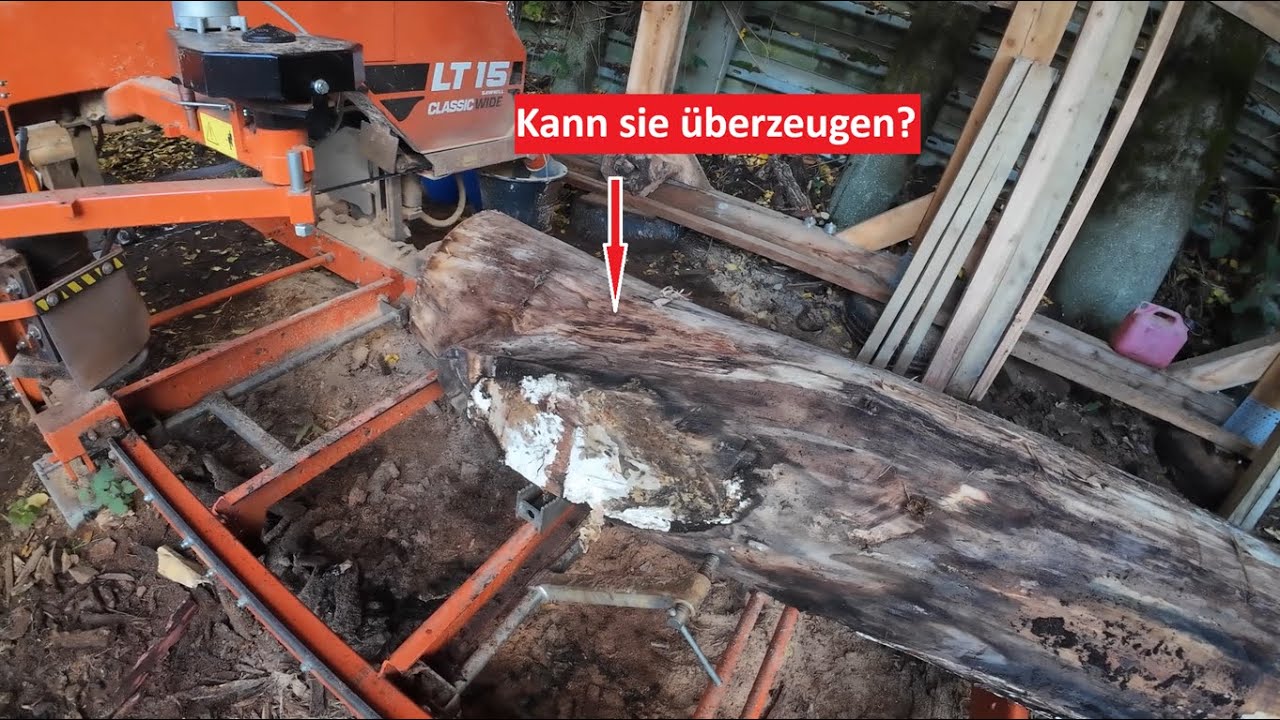 Die reinste Pappel(-ball)schlacht! Späne vs Sägewerk, dieses Holz kämpft absolut unfair...