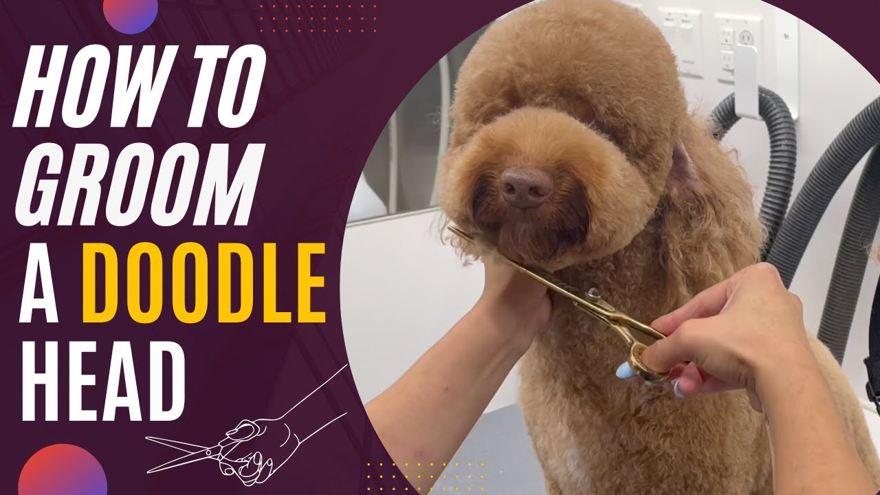 HOW TO HAND SCISSOR  A DOODLE HEAD ✂️