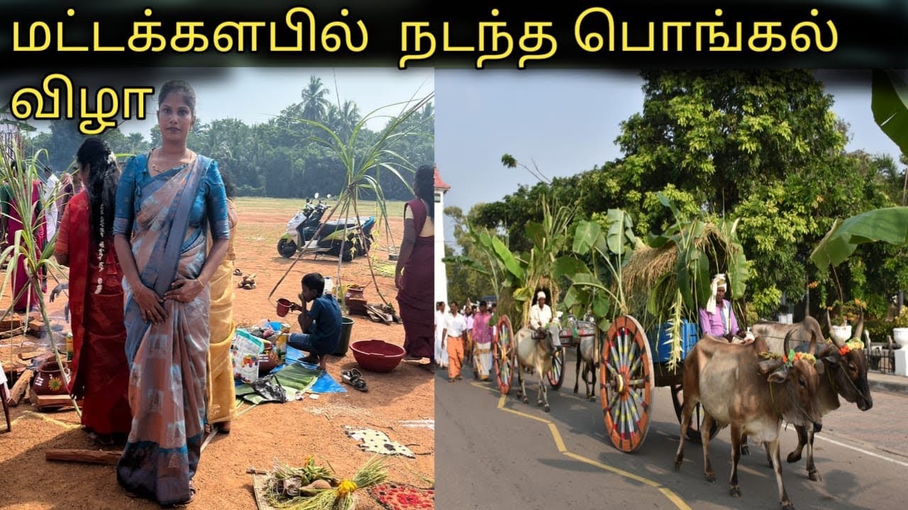 இன்று நடந்த பொங்கல் விழா#trending #srilankantamilvlog 