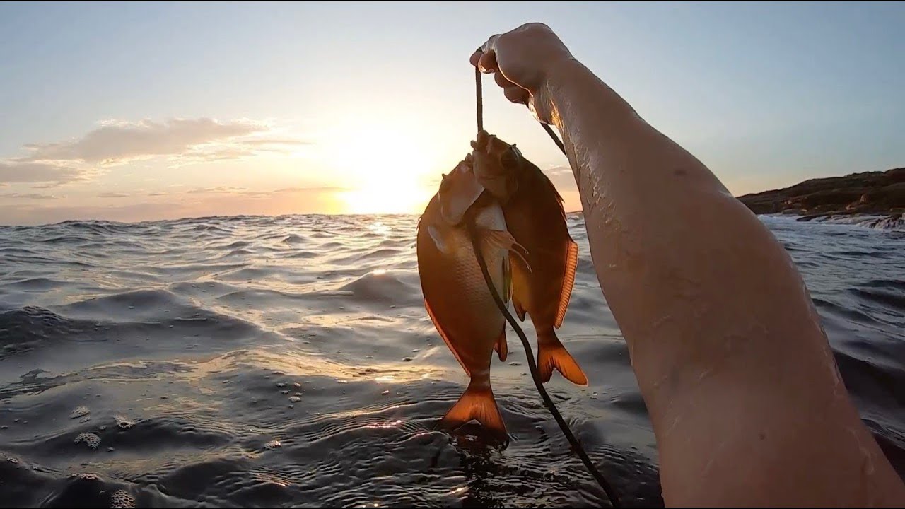 Spearfishing at Fishermans Bay, NSW