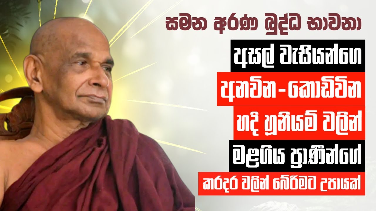 අසල් වැසියන්ගෙ අනවින-කොඩිවින-හදි හූනියම් වලින් හා මළගිය ප්‍රාණීන්ගේ කරදර වලින් බේරිමට උපායක්.
