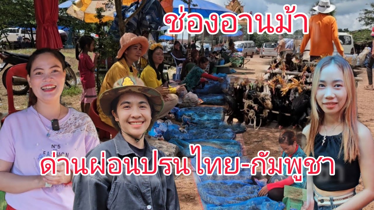 #ชายแดน ไทย-กัมพูชา บรรยากาศ การค้าขายช่องอานม้า #ตั๊กแตนเยอะ #กบนา #สาวกัมพูชา อ.น้ำยืนจ.อุบล