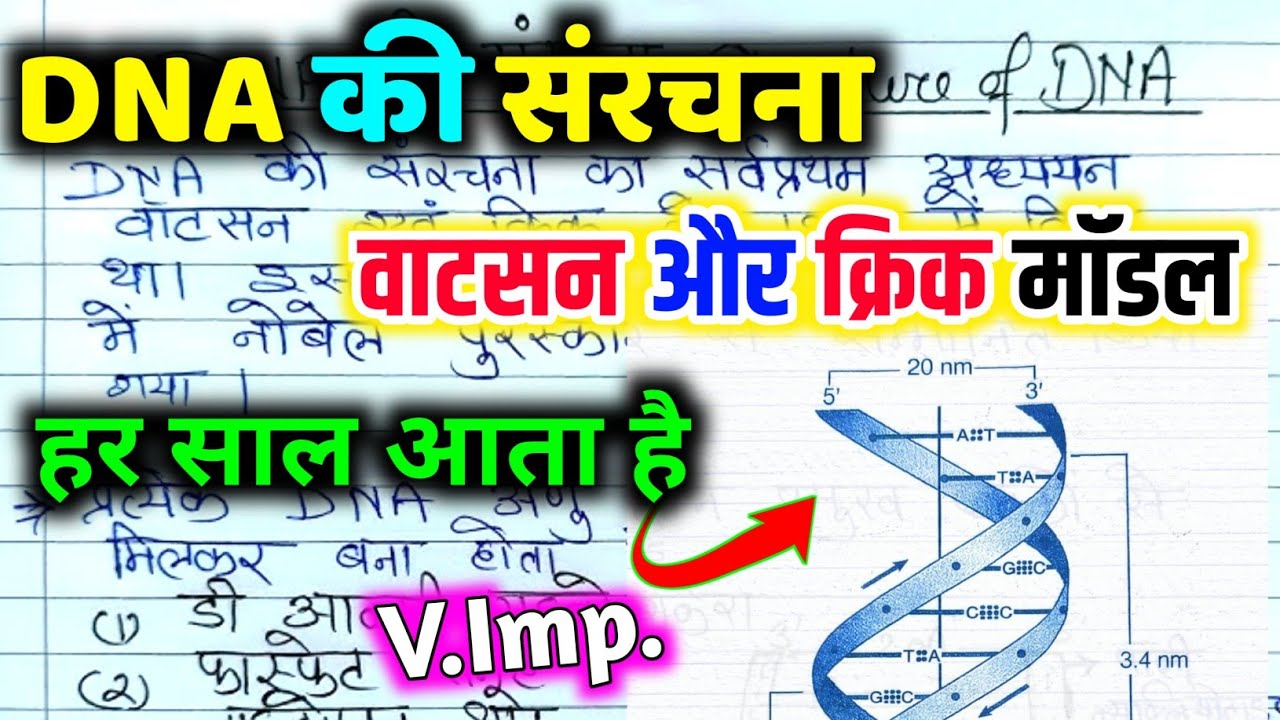 वाटसन और क्रिक मॉडल 12th biology / DNA आनुवंशिक पदार्थ है / DNA harse aur ches experiment 🔥