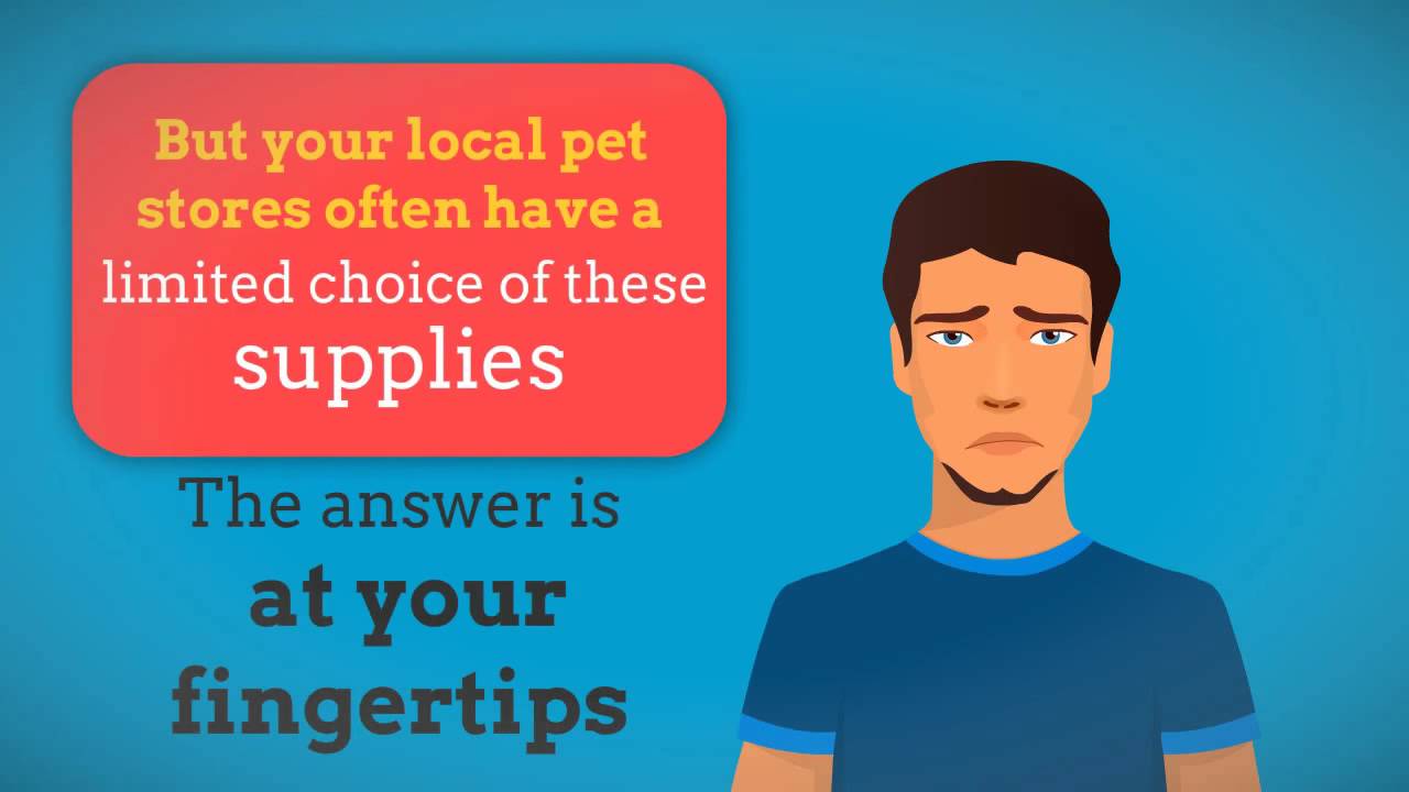 Buy pet supplies online and get cashback.