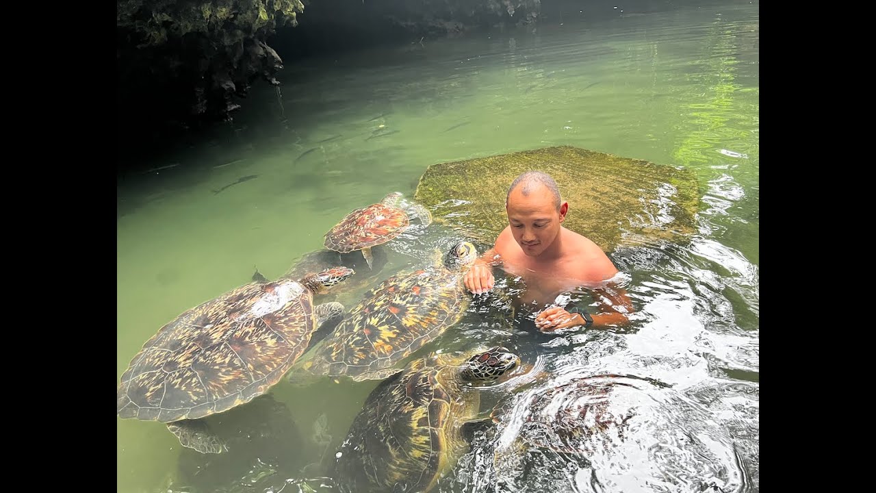 Zanzibar | Part 6 | Kuza Cave & The Turtle Sanctuary