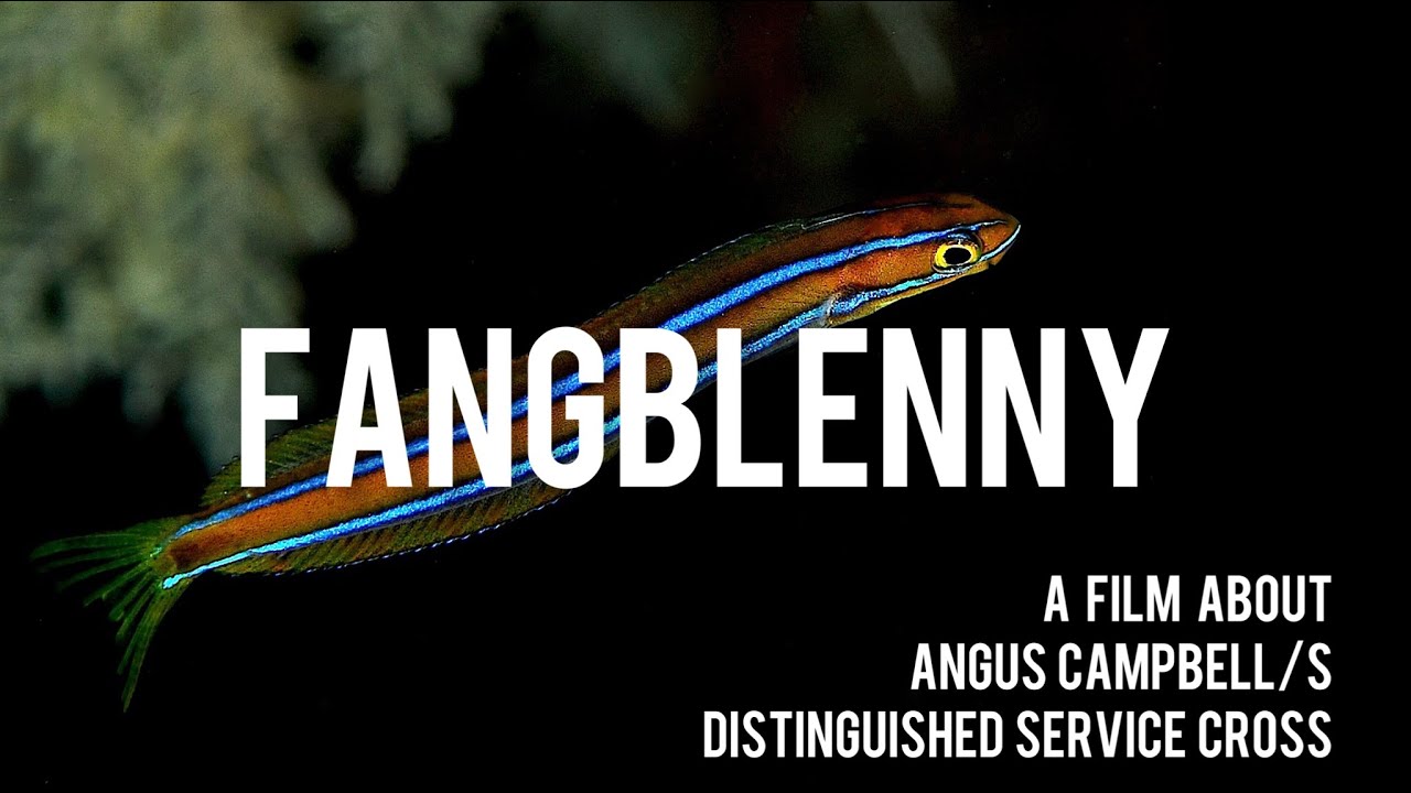 Fangblenny - A Film About Angus Campbell's Distinguished Service Cross