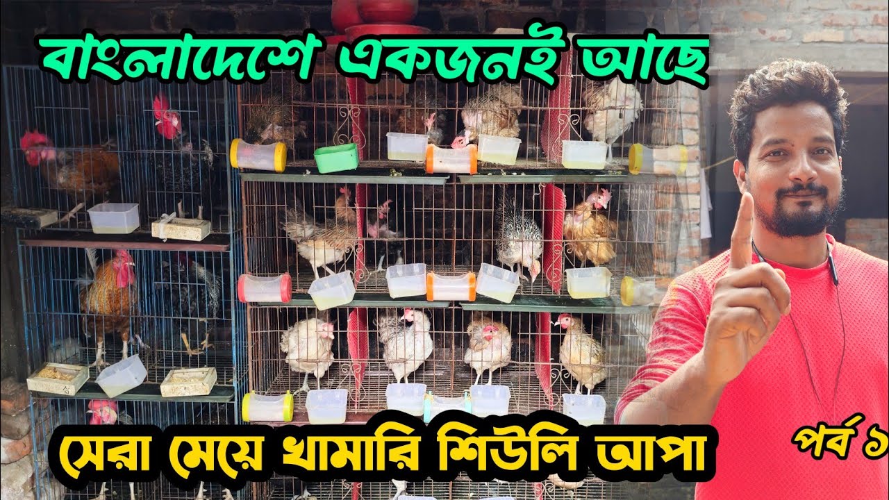 সেরা মেয়ে খামারি শিউলি আপা বাংলাদেশে একজনই আছে