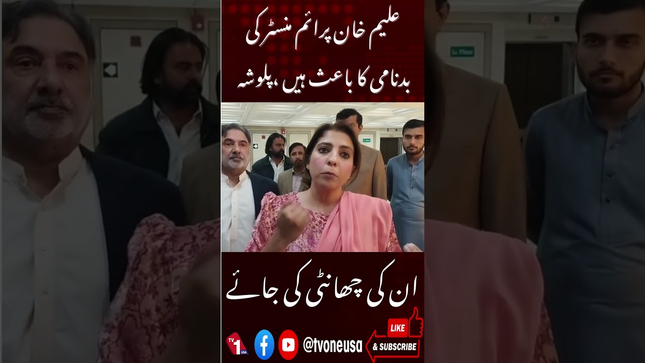 Aleem Khan Is Damaging the Prime Minister&rsquo;s Reputation.Senator Palwasha | TV One USA