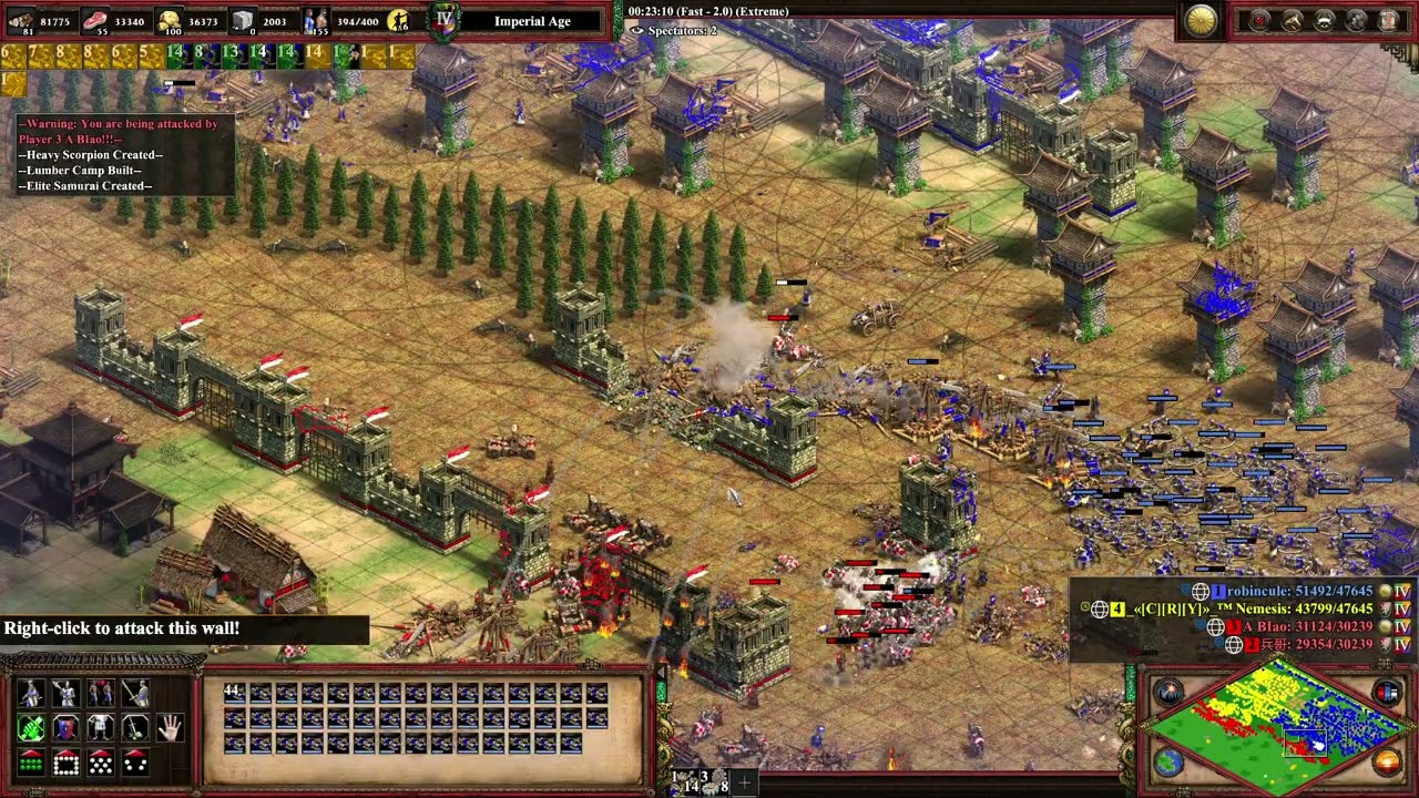 Japanese Bohemian Mirror - Michi DM 2v2 | AoE2 DE