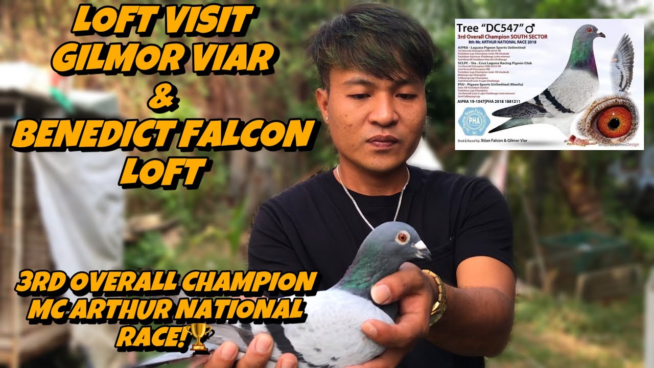 LOFT VISIT KAY GILMOR VIAR AT BENEDICT FALCON ANG 3RD OVERALL CHAMPION MC ARTHUR NATIONAL RACE