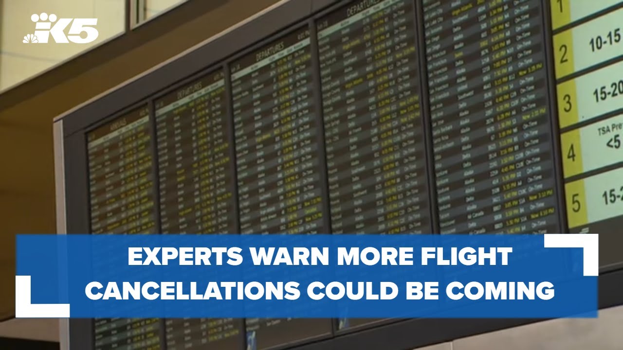Travel experts warn flight cancellations could continue as summer travel heats up