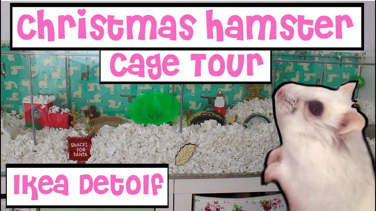 Christmas Hamster Cage Tour