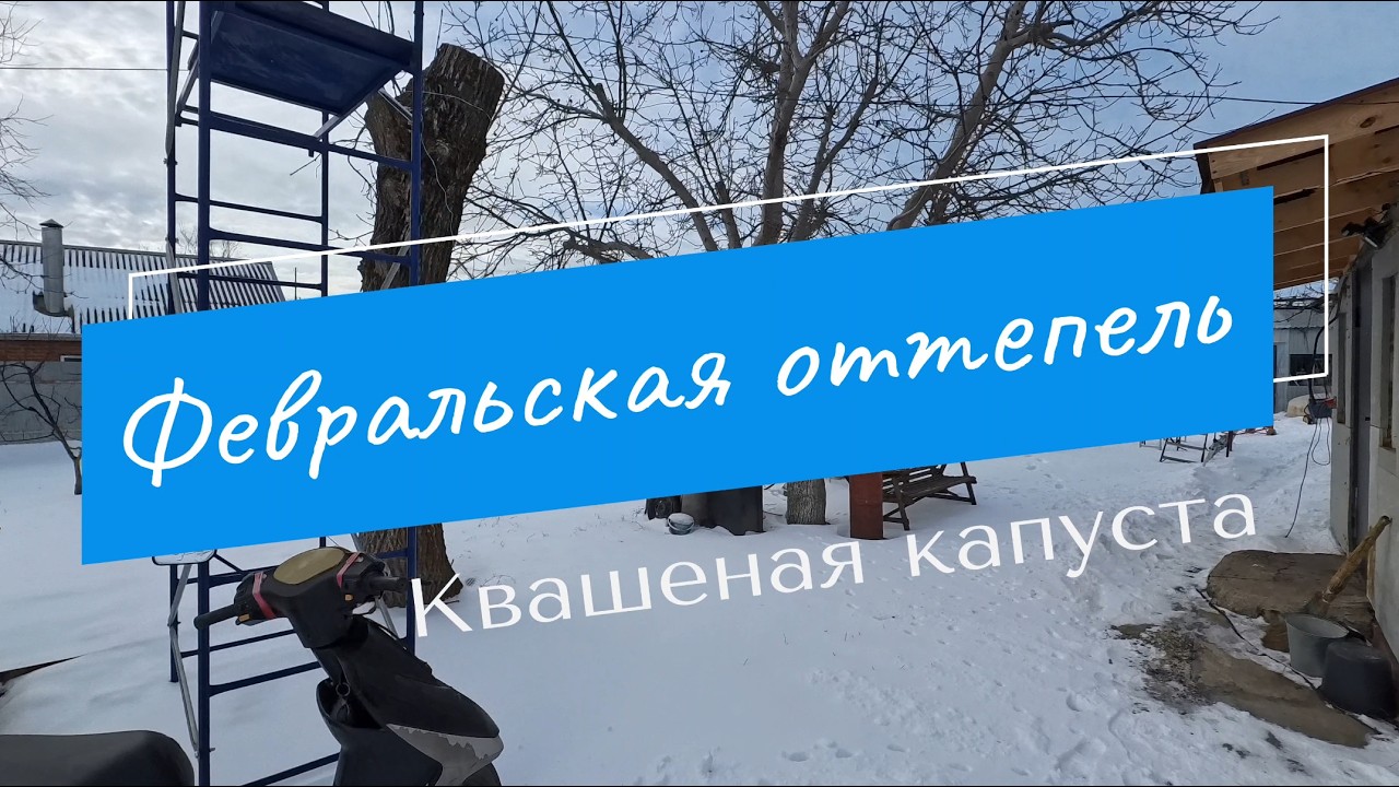 Февральская оттепель //  Рецепты  квашеной капусты