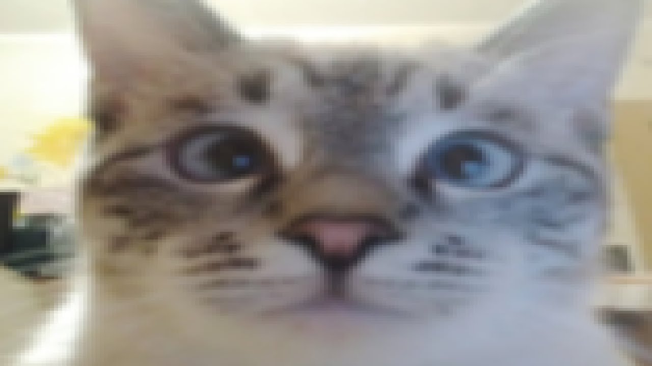 gtaonlinevideo5.mov