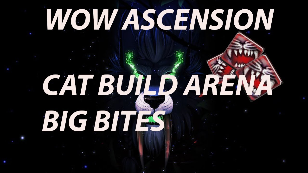 WOW ASCENSION ARENA CAT BUILD BIG BITES PVP