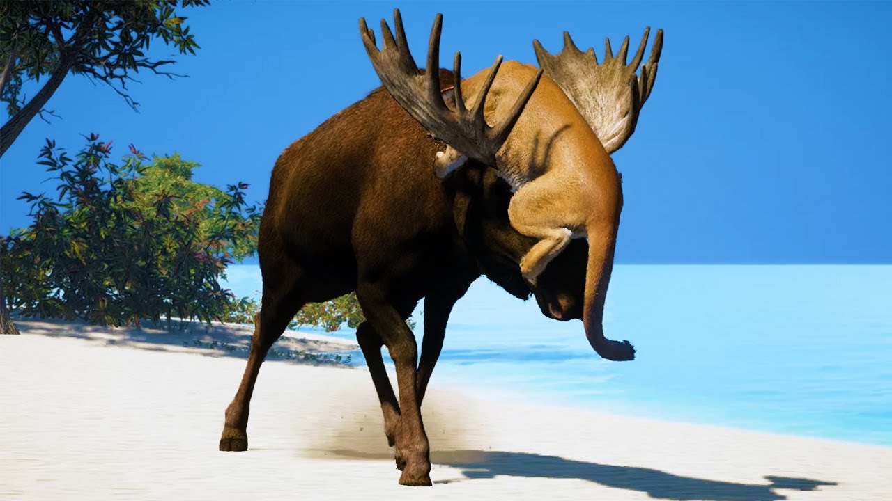 Moose VS all Predators in Far Cry 5