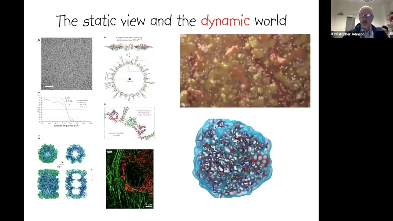 [TALK 6] Single Molecule Techniques - Chris Johnson - Biophysical Techniques Course 2022