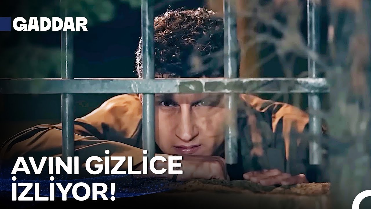 Mafya Adam Enver Baltacı #18: Ölüm, Ayağınıza Geldi! - Gaddar