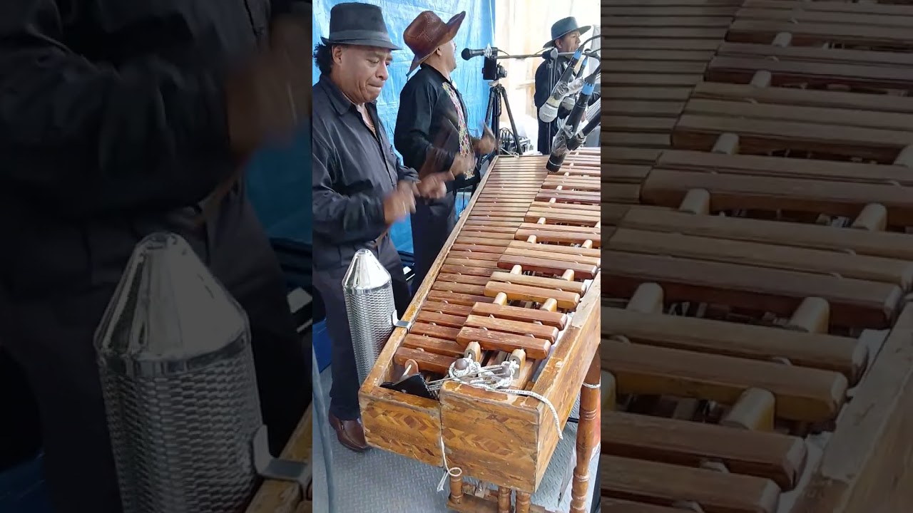 Marimba Orquesta: 