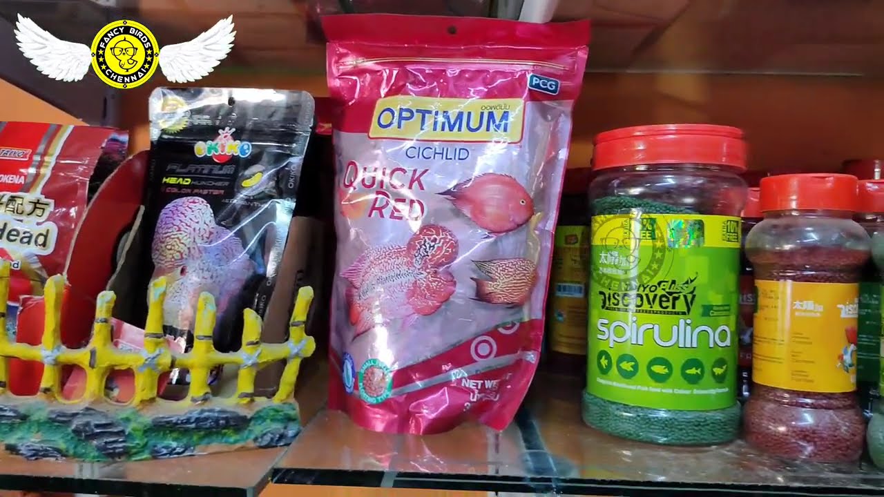 Chennai Pets & Aquarium Shop in Sithalapakkam | தமிழில் | fancy birds chennai