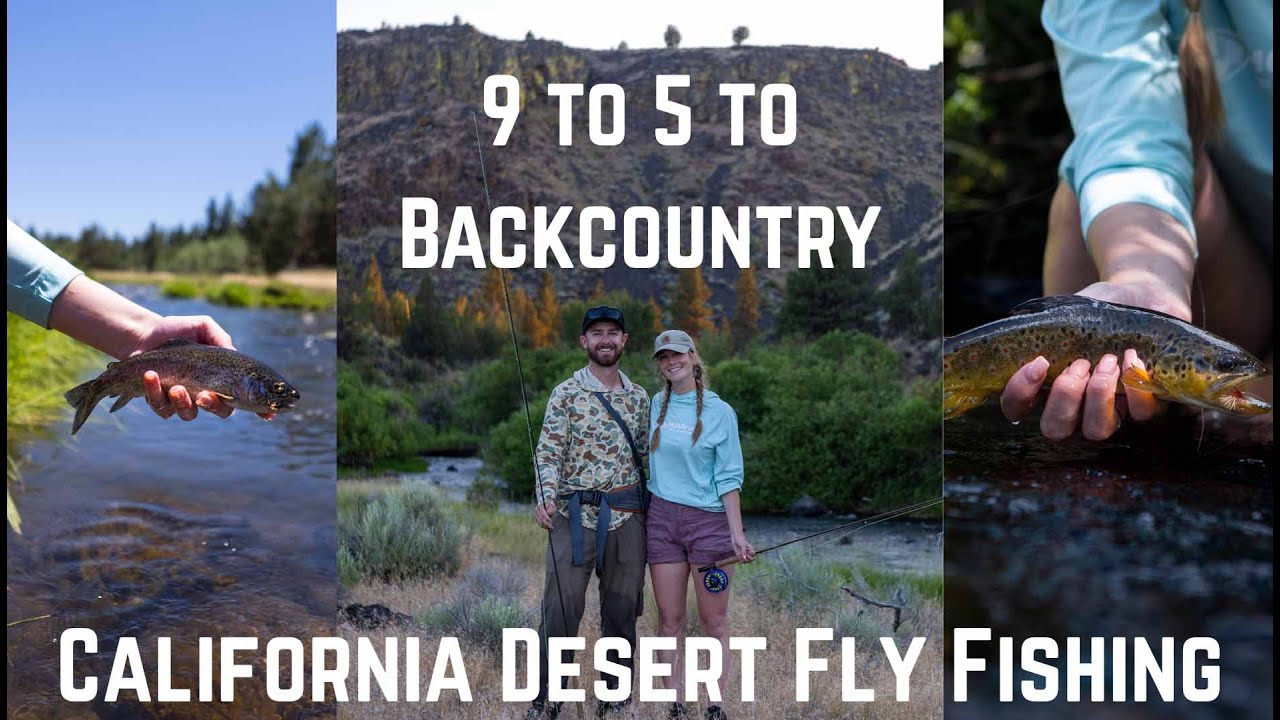 Fly Fishing California's Desert; 4 trout species in one day, Wild Horses and Elk (IGFA Grand Slam)