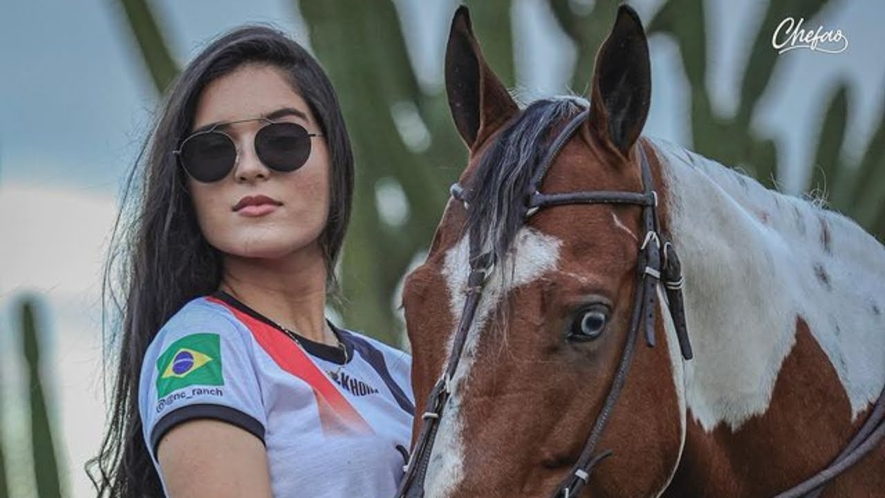 Seleção Piseiro de Vaquejada 2024 - As Mais Tocadas Julho 2024 (Piseiro, Forró e Vaquejada)